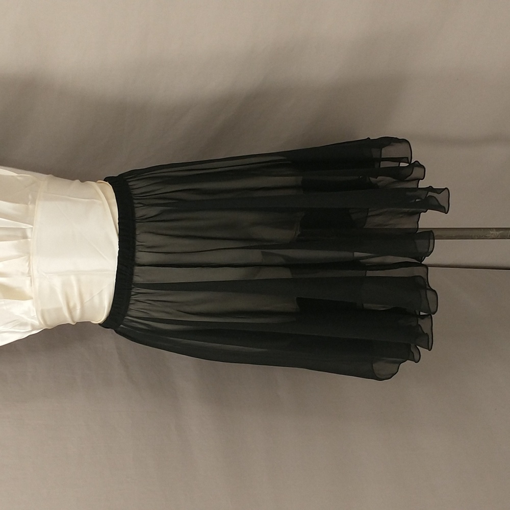 Sheer Black Circle Skirt Vintage Sexy Party Theater Costume Dance Midi Flirty